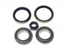 Radlagersatz Wheel bearing kit:5 007 040