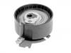 Time Belt Tensioner Pulley:0829.C8