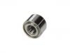 轮毂轴承 Wheel Bearing:40210-71L00