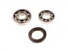 Wheel Bearing Rep. kit:VKBA 887